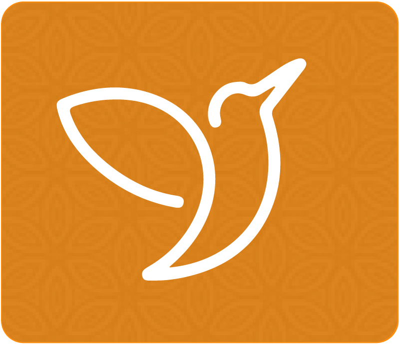 ...assessment icon