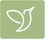...assessment icon